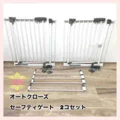 Item thumbnail for item 473486c3-22aa-4847-94ad-7786eb0bf9d7