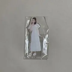 【新品未開封】藤田ニコル ファンミ アクリルスタンド