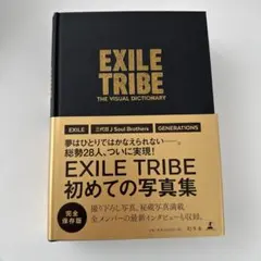 THE VISUAL DICTIONARY