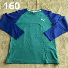 PUMA 長袖カットソー 緑/青　160