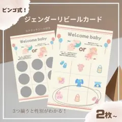 大人気★性別発表カード2枚セット ビンゴ式ジェンダーリビールカード　スクラッチ