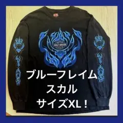 ハーレーダビッドソン スカル ブルーフレイム ロンT ファイヤー 状態良好！