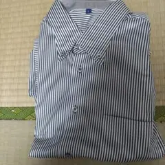 Item thumbnail for item 33122520-8cfc-43b9-bea7-38f306cf986c