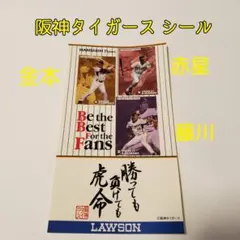 2026年最新】赤星憲広の人気アイテム - メルカリ