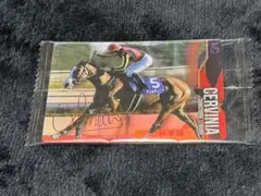 サラブレッドホースコレクション　ウエハース　カード　チェルビニア　サイン