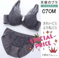 C70M 天使のブラ スリムライン582 ブラ＆ショーツ チャコールグレー