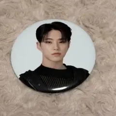 【匿名配送】SEVENTEEN FOLLOW 缶バッジ　ホシ