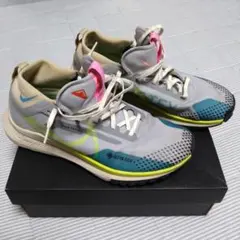 Nike GORE-TEX スニーカー