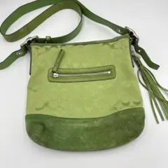 Coach Signature Suede Shoulder Bag Green
