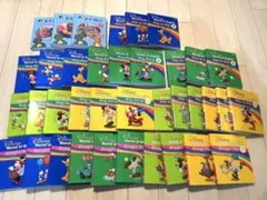 【期間限定❗️】DWE ミッキーパッケージ