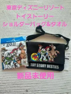 東京ディズニーリゾート トイストーリー ショルダーバッグ&タオル