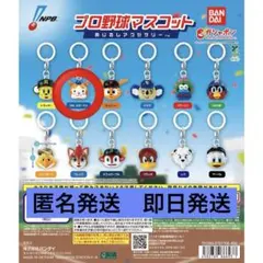 プロ野球マスコット めじるしアクセサリー　DB.スターマン