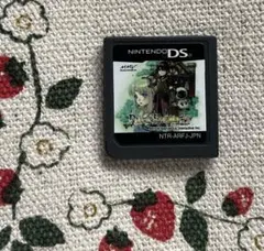 ニンテンドーDS★ルーンファクトリー -新牧場物語-