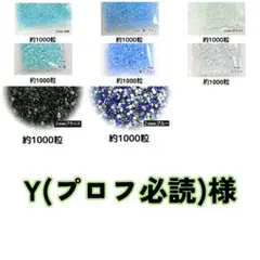 Y(プロフ必読)様・専用