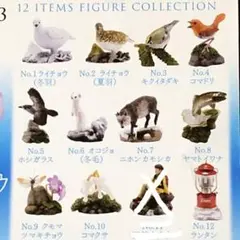 Item thumbnail for item e2892618-f40c-4d28-b4d1-d372efc70dc1