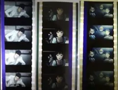 シュタインズゲート フィルム コマフィルム 生フィルム