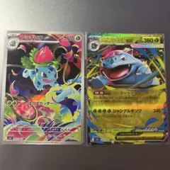 フシギソウとメガフシギバナEXカードセット