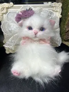 まんまるお目目の猫ちゃん アーティストベア 海外作家様 ハンドメイド