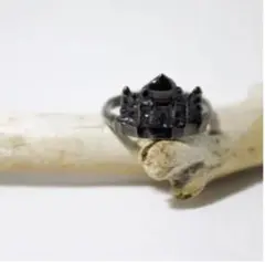 タージマハル（シルバーリング）