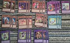 遊戯王 アマゾネス王女 他 アマゾネス セット