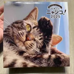 2026年最新】日めくりニャンコの人気アイテム - メルカリ
