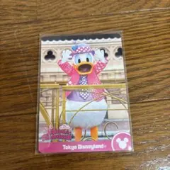 ディズニー　ミニーのファンダーランド ドナルド