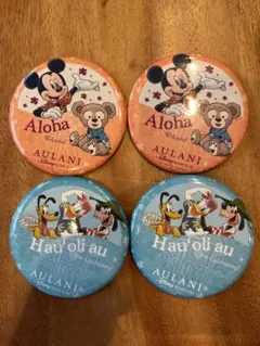 AULANI ハワイ　ディズニー　缶バッジ 4個セット