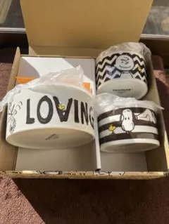 【新品】スヌーピー　レンジセット 高気密 パッキン付 レンジ容器 ３点セット