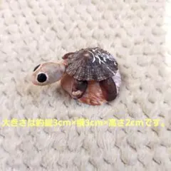 2026年最新】亀の置物の人気アイテム - メルカリ