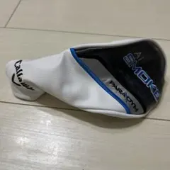 Item thumbnail for item 00bc3118-47a2-4843-a285-af047d50864a