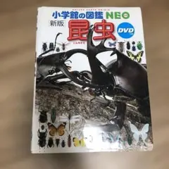 小学校の図鑑NEO 新版 昆虫 DVD付き