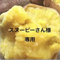 スヌーピーさん様専用
