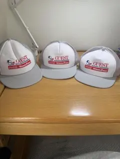 Item thumbnail for item d4bbee87-a019-49c1-b882-56da99fc8476