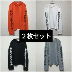 新品　2枚セット　コットン　英字　袖ロゴ　ロングTシャツ　長袖　オーバーサイズ