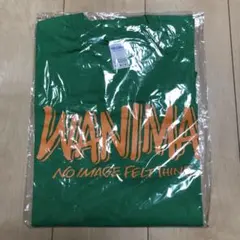 WANIMA Tシャツ 緑(M)
