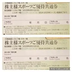 東急不動産 株主優待券 ゴルフ場 スキー場 2枚セット スポーツご優待共通券