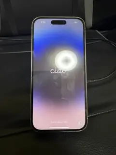 【即日発送可】iPhone14Pro256GB シルバーバッテリー100% 美品