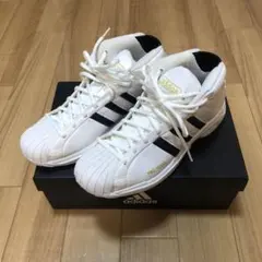adidas PRO Model 2Gバスケットシューズ
