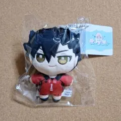 ハイキュー!!　ぬいパル　黒尾鉄朗