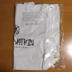 LDH PERFECT YEAR　2020　IMAGINATION エコバッグ