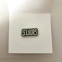 SEVENTEEN HOLIDAY PINS ピンズ エスクプス