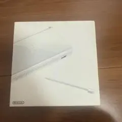 美品 ニンテンドー DS Lite 本体 クリスタルホワイト