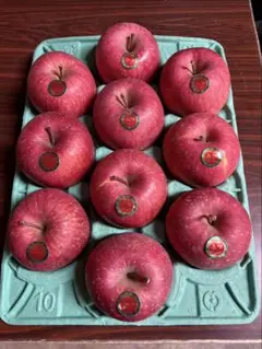 青森県産　減農薬栽培　サンふじ10玉(3キロ箱)贈答品