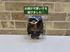 ツイステッドワンダーランド ツイステ 寮服 ちびぐるみ レオナ