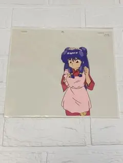 Item thumbnail for item 105de3f9-6ed8-4d06-af5f-2e48531302c8