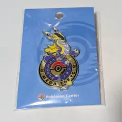 ポケモンセンター　ロゴピンズ　池袋　ポケモンセンターメガトウキョー　10個 ポケモンセンター メガトウキョー ロゴピンズ ミライドン ピカチュウ