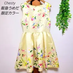 Chesty チェスティ 阪急うめだ 限定カラー 小鳥 青い鳥 花柄 ワンピース