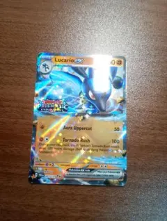 ポケモンカード ポケカ ブラッキー リバースホロ 海外限定 英語版 正規
