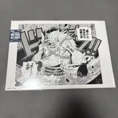 ONE PIECE ALL PAGES エッグヘッド 黄猿 ニカ GEAR5 ONE PIECE ALL PAGES エッグヘッド 黄猿 ニカ GEAR5 - メルカリ