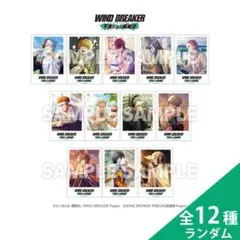WIND BREAKER ウィンヒロ トレーディングポラロイドカード セット